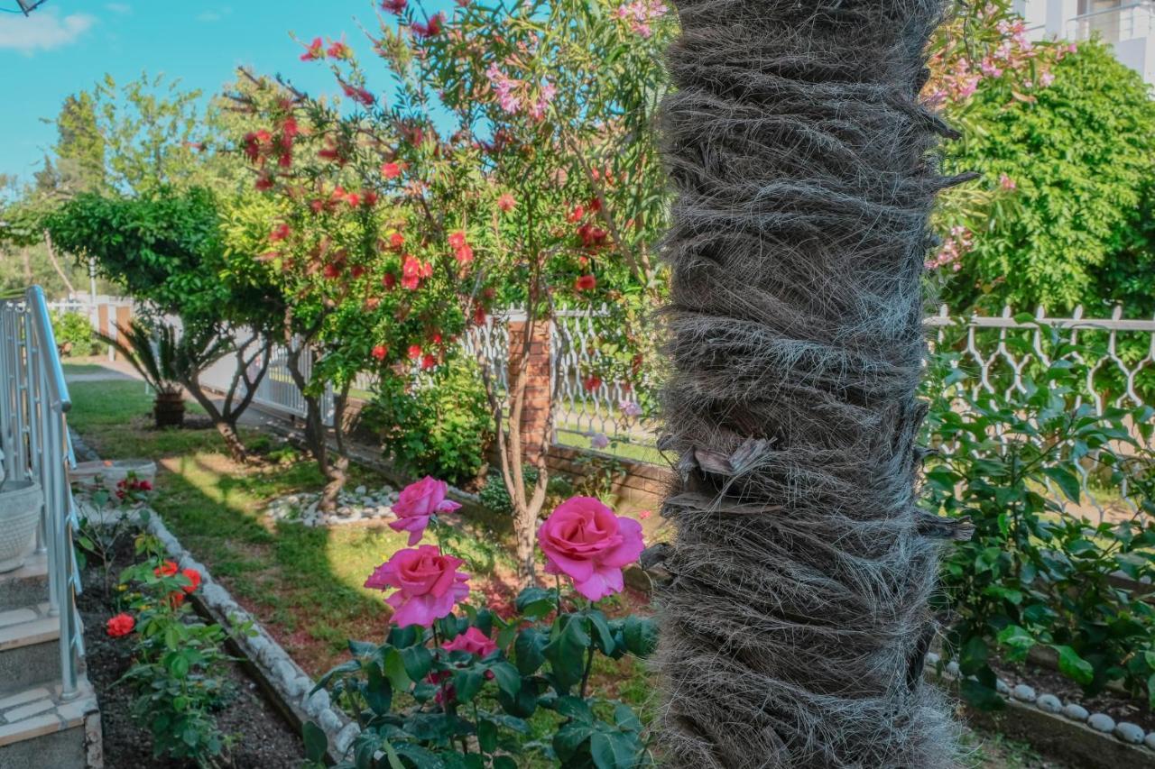 Vila Adriatik 울친 외부 사진